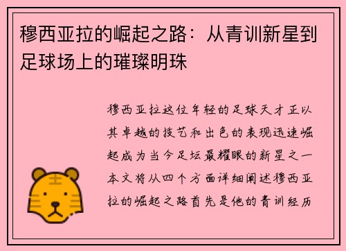 穆西亚拉的崛起之路：从青训新星到足球场上的璀璨明珠