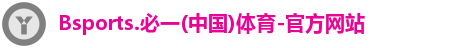B体育官网